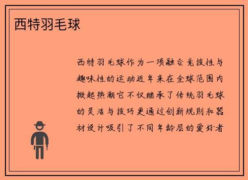 西特羽毛球