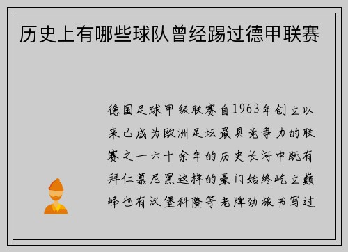 历史上有哪些球队曾经踢过德甲联赛